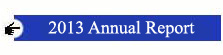 annual report